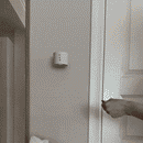 Lumia™ - Iluminação de parede LED sem fio regulável com controle remoto